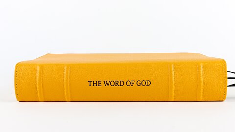 The Word of God Proves True
